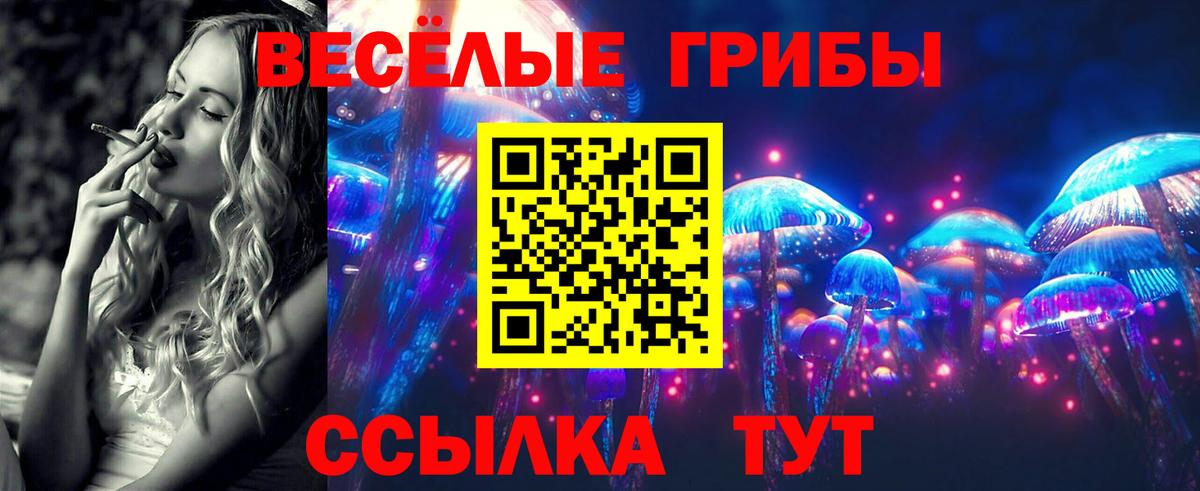 Галлюциногенные грибы Magic Shrooms Красноармейск